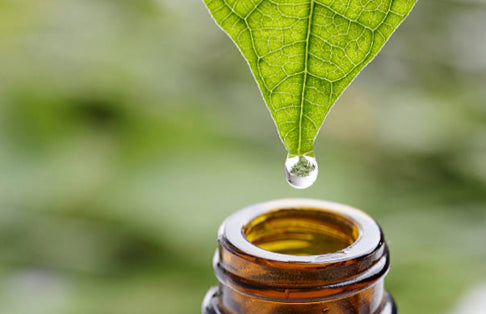 What are Essential Oils and Why use them?